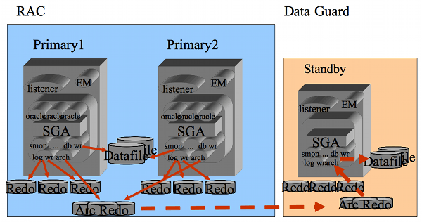 Architettura Oracle RAC e Oracle Data Guard