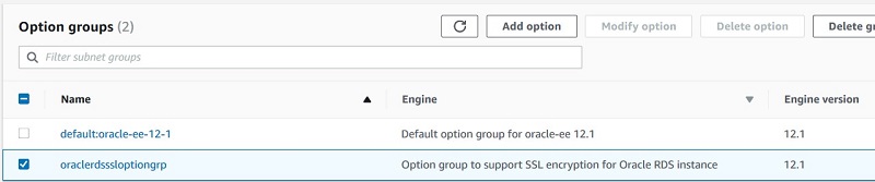 RDS Option Group - details