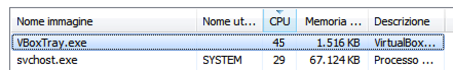 VirtualBox VBoxTray.exe High CPU